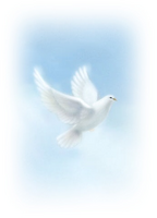 Timothy Charles Syruws